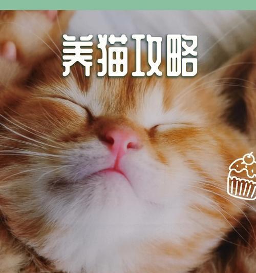 如何为你的宠物猫咪做驱虫（从驱虫的必要性到驱虫的方法）