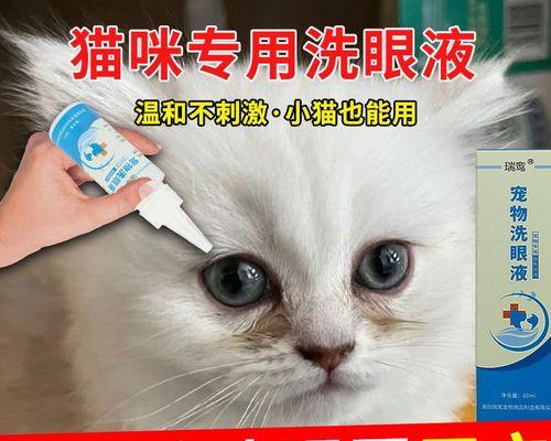 小猫泪痕的处理方法（宠物主人必看）