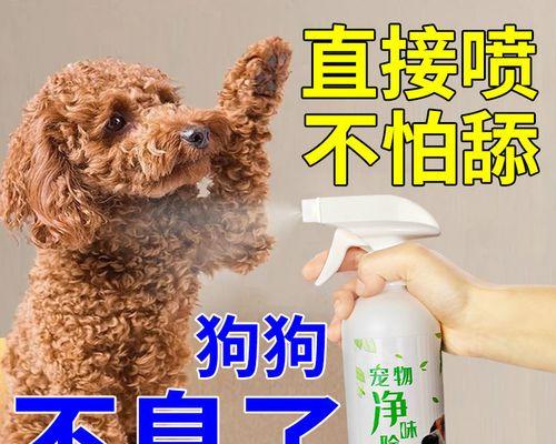 教猫咪上小便的技巧（让你的宠物乖乖上厕所）