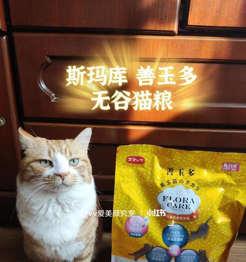 如何选择性价比高的猫粮