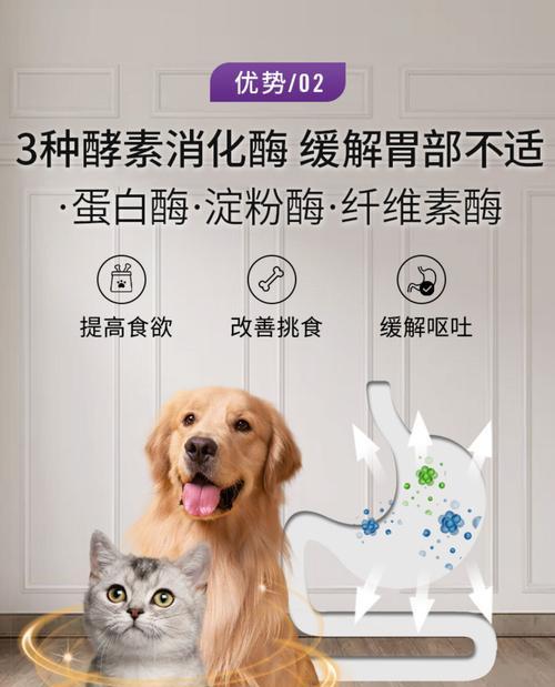 猫咪拉稀的原因与应对方法（宠物主人必知的拉稀常识）