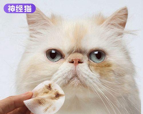 揭秘猫咪泪痕眼皮上的硬物（探究泪痕现象）