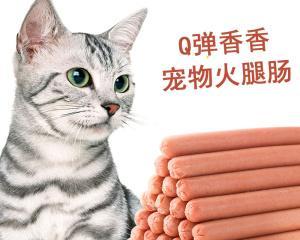 猫咪能否吃玉米肠（宠物健康需谨慎）