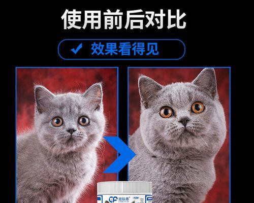 猫咪的营养需求与营养粉选择（宠物喜爱的口味与适合的营养粉）