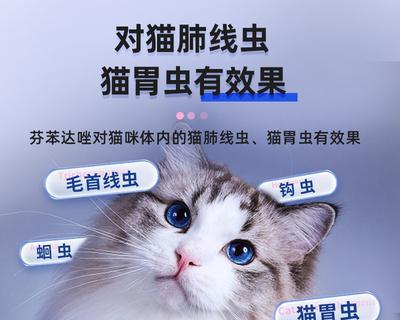 以猫咪驱虫了可以抱吗？——宠物护理小贴士