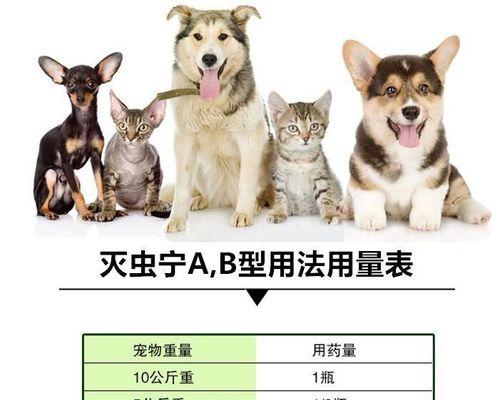 猫咪驱虫（以宠物为主）