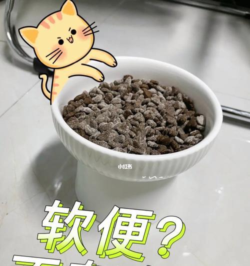 猫咪软便的表现和预防方法（了解宠物健康）