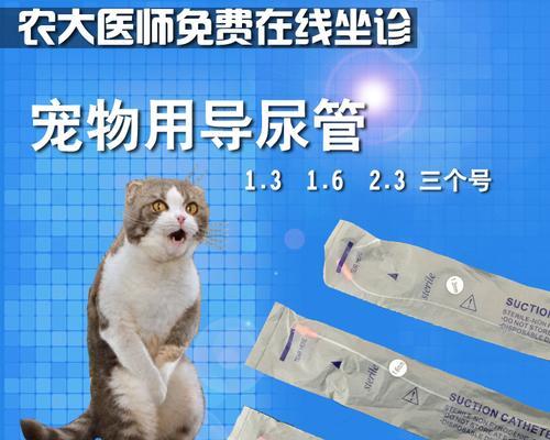 如何给宠物猫咪进行肾功能衰竭的输液治疗（宠物猫咪肾功能衰竭的原因和症状）