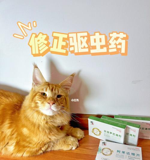 猫咪驱虫需要几天（为宠物的健康着想）