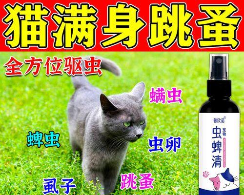 宠物猫咪有哪些体外寄生虫（掌握这些虫子信息）