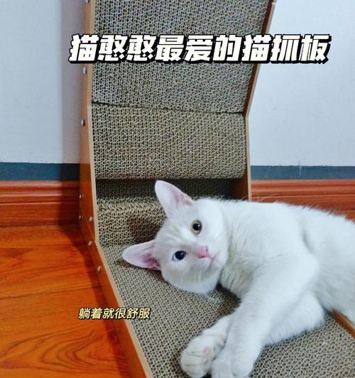 《猫咪的新玩具——猫抓板》（让宠物快乐有趣的必备神器）