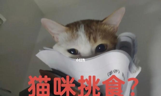 如何解决宠物猫咪严重挑食问题（实用方法帮你让猫咪吃饭不再挑食）