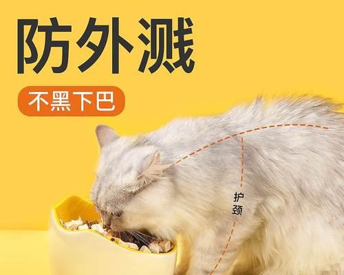 猫咪吐出猫粮，主人心疼不已（以宠物为主）