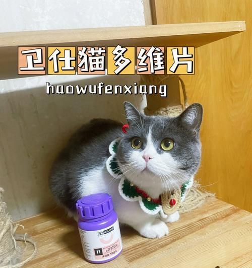 宠物猫咪的营养需求之维生素B（探究猫咪对维生素B的需求及各种B族维生素的功能）