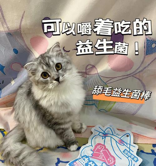 宠物猫咪如何购买益生菌（了解宠物猫咪的消化系统及益生菌的功能）