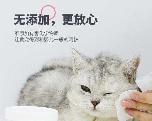 猫咪专属，选对宠物湿巾让生活更美好（以猫咪为主）