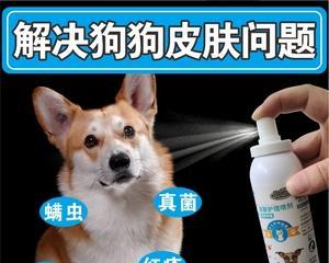 如何应对宠物犬身上的藓和掉毛问题（让你的爱犬健康又美丽）