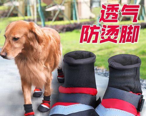 狗腿和脚发红的原因与治疗方法（探究宠物犬类腿部发红的种类和治疗方法）