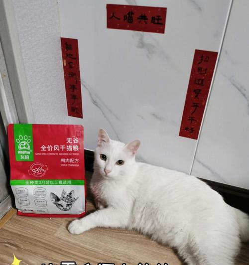 家里没猫粮怎么办（宠物粮荒时期）