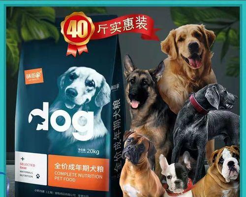 金毛犬40天狗粮泡发必须知道的15个细节（教你正确处理金毛犬40天狗粮的各种问题）