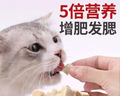 如何为你的猫咪做美味的鸡胸脯（为爱宠加餐点）