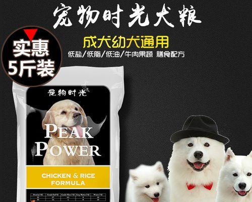 银狐犬的最佳狗粮选择（以宠物为主）