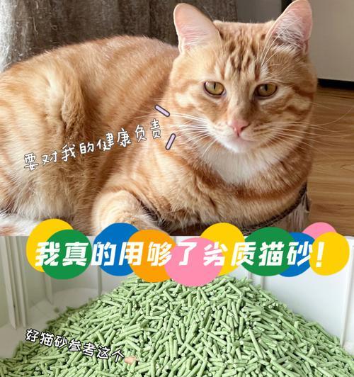 如何让宠物猫咪使用豆腐猫砂（让你的猫咪更健康）