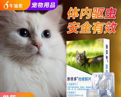 小猫如何正确喂食驱虫药（宠物健康）