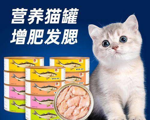 小猫吃罐头吐了，养宠注意事项（如何为小猫提供健康饮食）