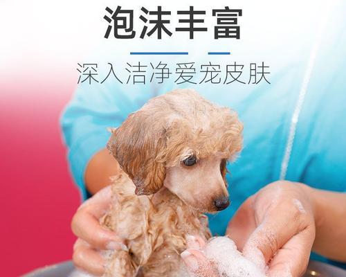 让你的爱犬沐浴舒适无比——不同狗狗用不同的沐浴露（让你的宠物享受最佳护理）