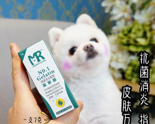 治疗狗感染的最佳药物选择（探索最有效的犬用药物及其作用机制）