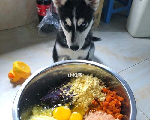 如何为宠物狗制作美味的蔬菜丸子（狗狗的健康饮食）