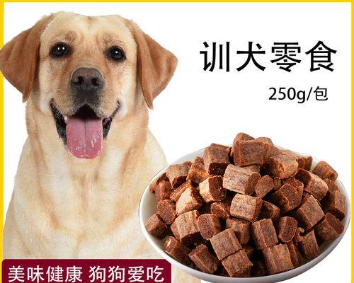 狗狗脚受伤应该用什么药膏（为你的宠物犬选择最佳的治疗方案）