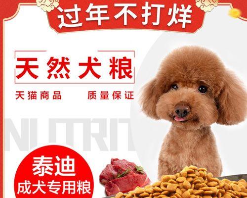 博美老犬的最佳狗粮选择（让宠物狗健康长寿的秘诀）