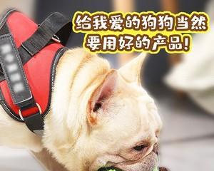 狗狗呕吐臭味扰人（宠物主人必看）