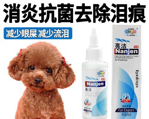 揭秘狗狗眼屎多白色的原因（宠物犬为何总是有白色眼屎）