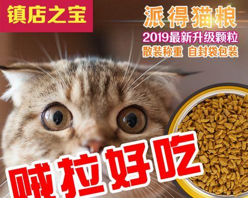 猫咪为何老是咬猫粮（探讨宠物猫咪的吃饭问题）