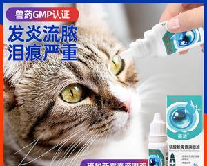 《照顾宠物健康，从猫咪泪痕眼药水开始》（探秘猫咪泪痕眼药水的使用方法和注意事项）