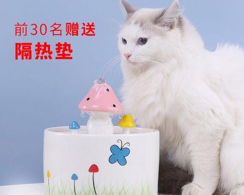 失去力气的猫咪，喝水也成了奢望（宠物的健康需我们呵护）