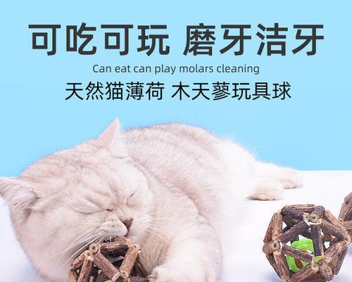 猫咪磨牙棒的制作方法（给宠物猫打造专属磨牙棒）