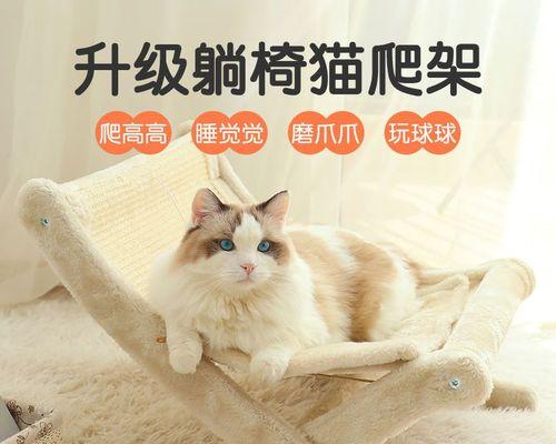 猫咪磨爪子的好处（为宠物猫咪的健康着想）