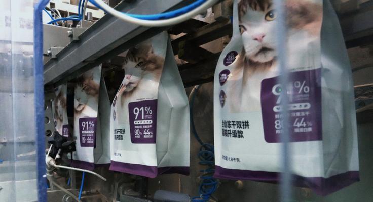 猫咪难产生产全过程详解（宠物猫咪的怀孕与分娩）