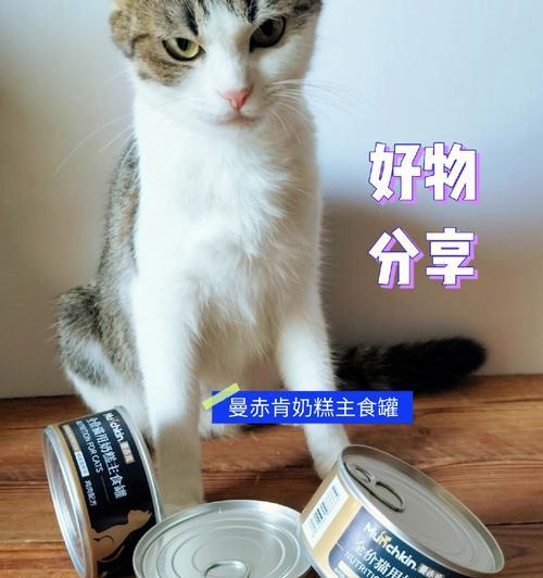 小奶糕，适合猫咪吃吗（以宠物为主）