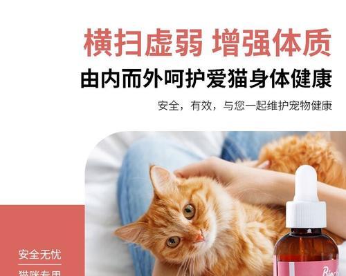 猫咪能喝抗病毒颗粒吗（了解宠物抗病毒颗粒）