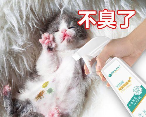 猫咪尿的秘密（从宠物到生活中的隐患）