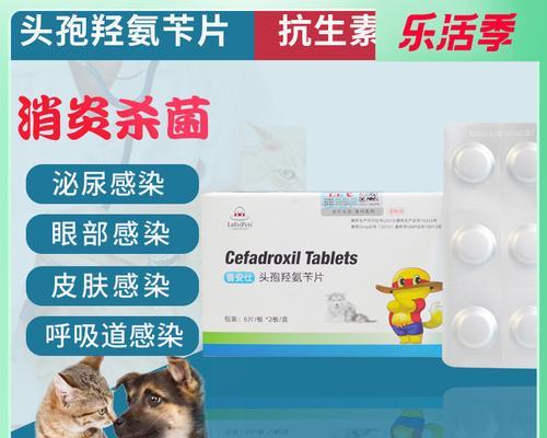 宠物猫咪尿路感染消炎药的使用（掌握正确用药方式）