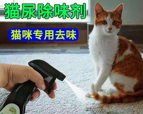 猫咪尿中的白色物质到底是什么（解析猫咪尿液中的白色成分）