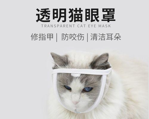 宠物猫的嘴唇轻咬和舔行为解析（揭秘猫咪的亲昵行为）