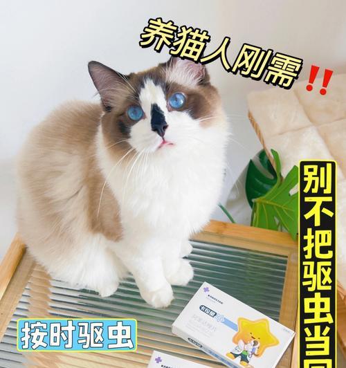 如何给宠物猫咪进行体内和体外驱虫（宠物猫咪身体健康需要及时的驱虫）