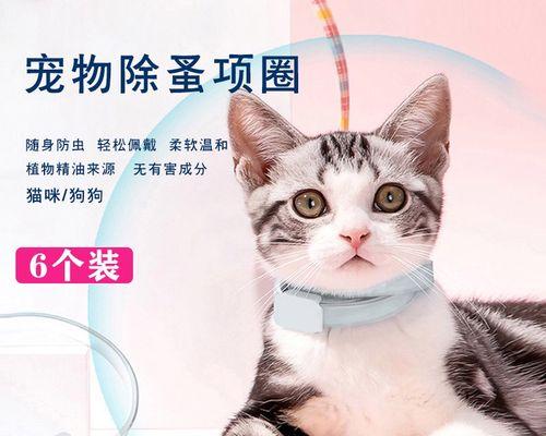 以猫咪驱虫的必要性（掌握正确的驱虫方法）